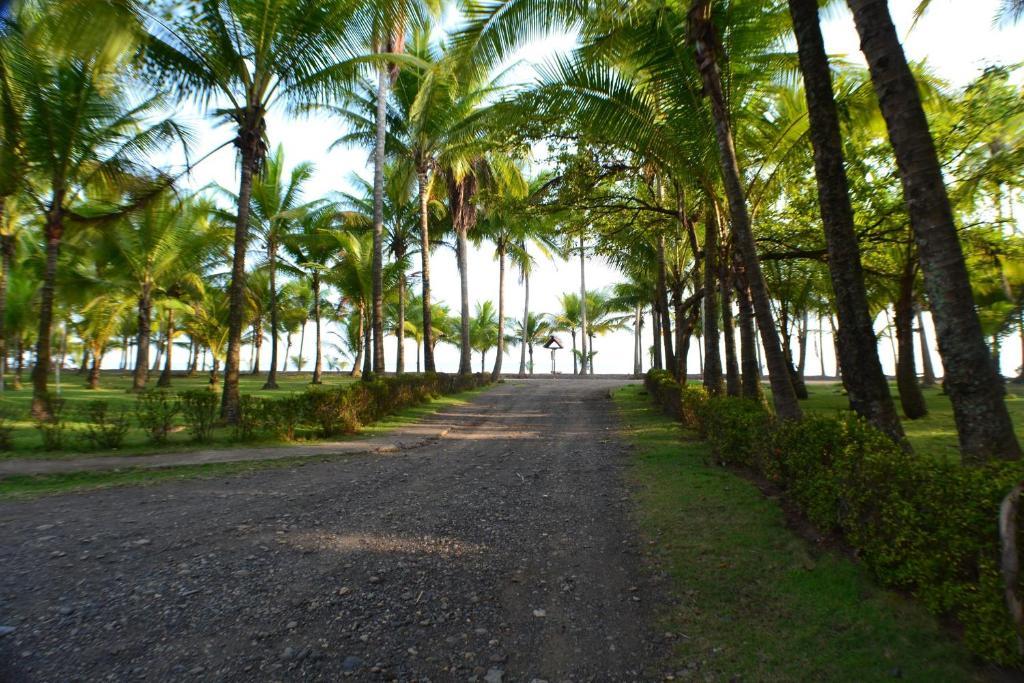 Hotel La Isla パリタ エクステリア 写真