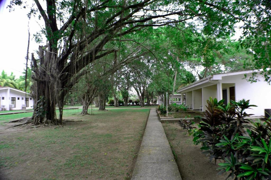 Hotel La Isla パリタ エクステリア 写真