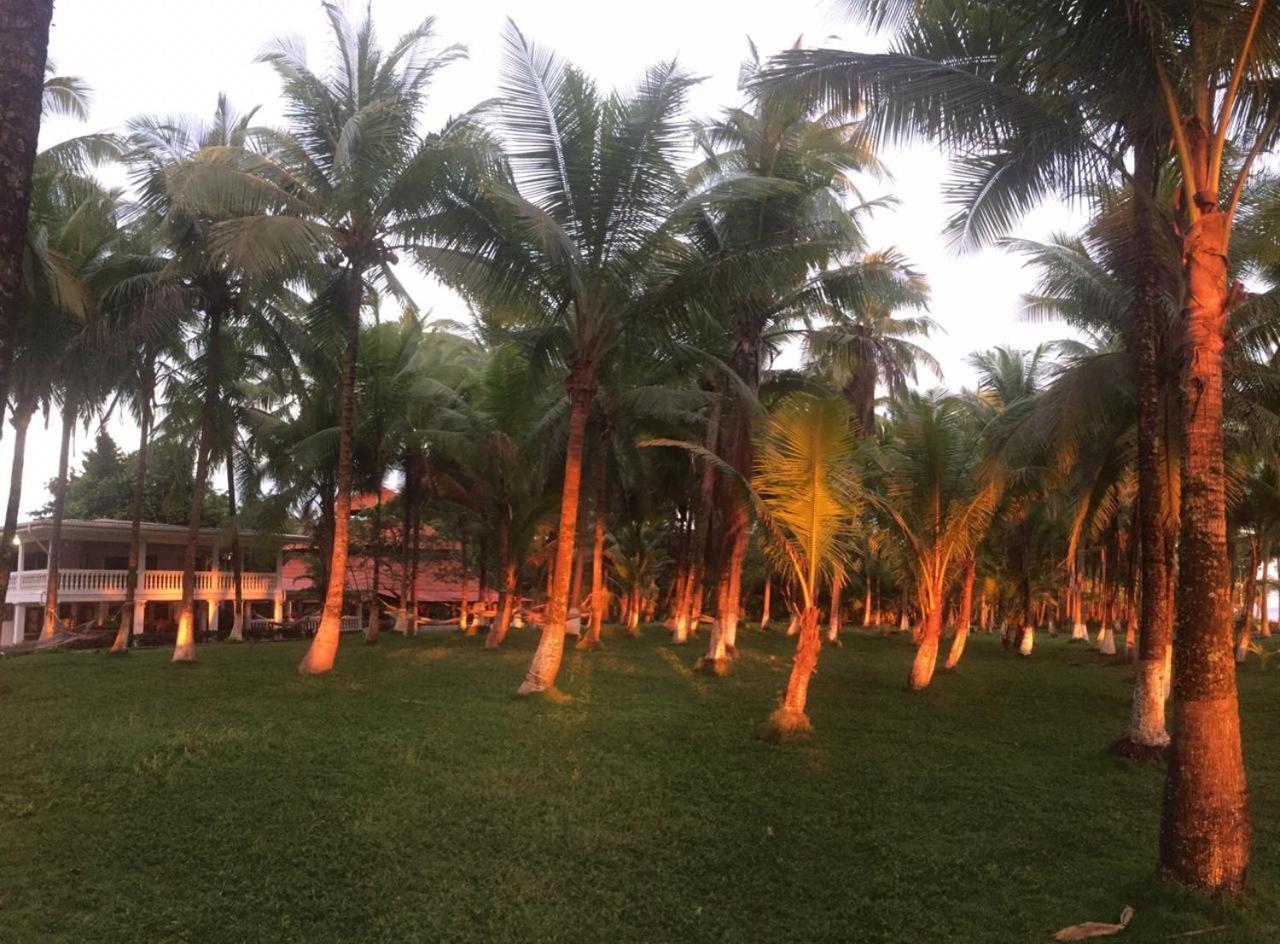 Hotel La Isla パリタ エクステリア 写真
