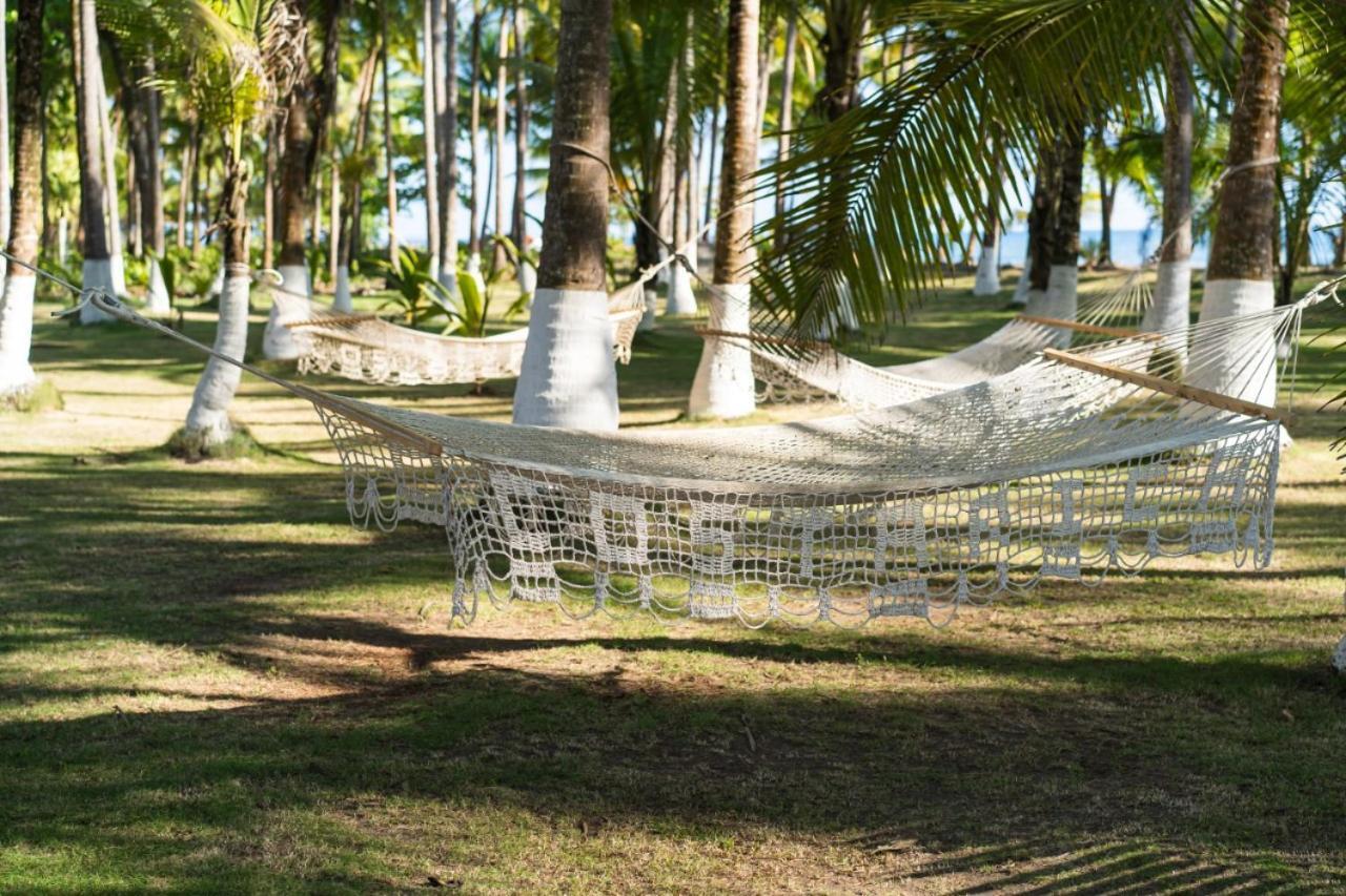 Hotel La Isla パリタ エクステリア 写真